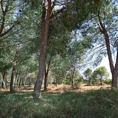 Cozy Holiday Apartment In Larnaca Near Foinikoudes Bagian luar foto