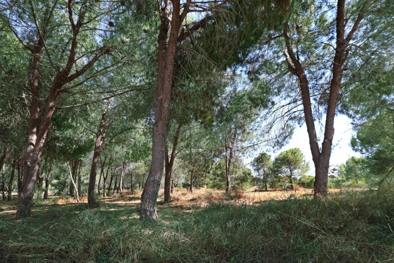 Cozy Holiday Apartment In Larnaca Near Foinikoudes Bagian luar foto